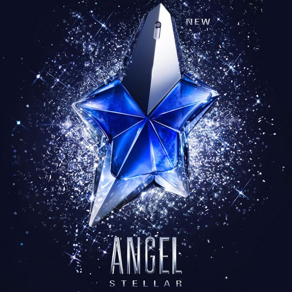 ANGEL STELLAR EDP